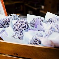 Мини-гостиница Винотеррия, Новороссийск, Краснодарский край