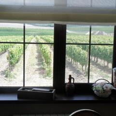 Мини-гостиница Винотеррия, Новороссийск, Краснодарский край