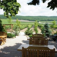 Мини-гостиница Винотеррия, Новороссийск, Краснодарский край