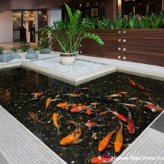 Гостиница Маринс Парк Отель Новосибирск, Новосибирск, Новосибирская область