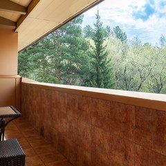 Парк-отель Парк-Отель Сосновый бор, Новосибирск, Новосибирская область