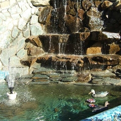 Отель Жемчужина, Новосибирск, Новосибирская область