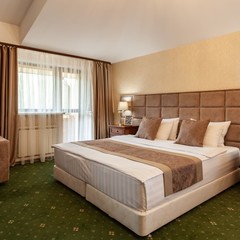 Парк-отель Парк-Отель Сосновый бор, Новосибирск, Новосибирская область