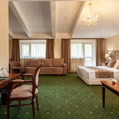 Парк-отель Парк-Отель Сосновый бор, Новосибирск, Новосибирская область