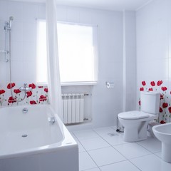 Парк-отель Парк-Отель Сосновый бор, Новосибирск, Новосибирская область