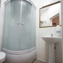 Гостиница Золотой лев, Новосибирск, Новосибирская область