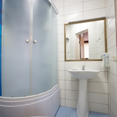 Гостиница Золотой лев, Новосибирск, Новосибирская область