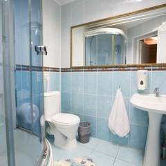 Гостиница Золотой лев, Новосибирск, Новосибирская область