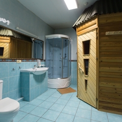 Гостиница Золотой лев, Новосибирск, Новосибирская область