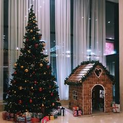 Гостиница Doubletree by Hilton Новосибирск, Новосибирск, Новосибирская область