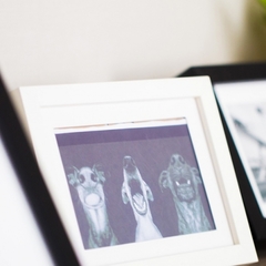 Парк-отель Парк-Отель Шишка, Новосибирск, Новосибирская область