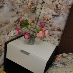 Гостиница Мегаполис, Новосибирск, Новосибирская область