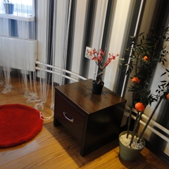 Гостиница Мегаполис, Новосибирск, Новосибирская область