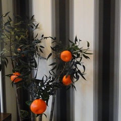 Гостиница Мегаполис, Новосибирск, Новосибирская область