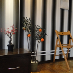 Гостиница Мегаполис, Новосибирск, Новосибирская область