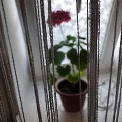 Гостиница Мегаполис, Новосибирск, Новосибирская область