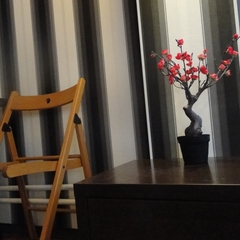 Гостиница Мегаполис, Новосибирск, Новосибирская область