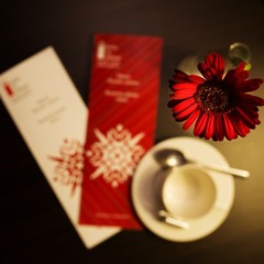 Отель Gorskiy city hotel, Новосибирск, Новосибирская область