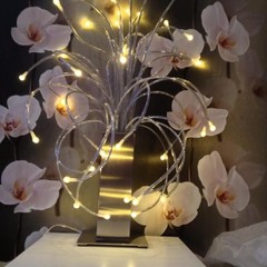 Отель Аркада, Новосибирск, Новосибирская область