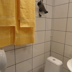 Отель Аркада, Новосибирск, Новосибирская область