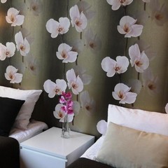 Отель Аркада, Новосибирск, Новосибирская область