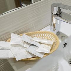 Отель Атерра, Новосибирск, Новосибирская область