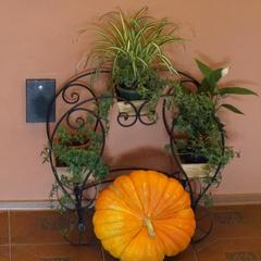 Гостиница Садовая, Новосибирск, Новосибирская область