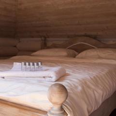 Гостевой дом Тридевятое царство, Новосибирск, Новосибирская область