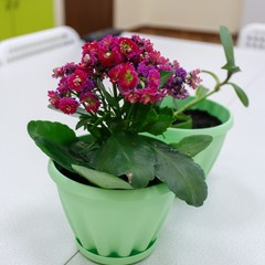 Хостел RE Hostel, Новосибирск, Новосибирская область