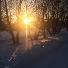 Гостиница Приморье, Новосибирск, Новосибирская область