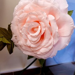 Хостел RE Hostel, Новосибирск, Новосибирская область