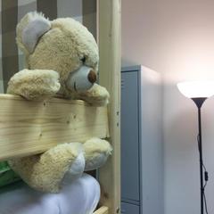 Хостел Плюшевый Мишка, Новосибирск, Новосибирская область