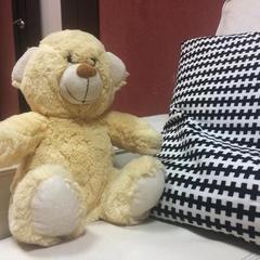 Хостел Плюшевый Мишка, Новосибирск, Новосибирская область