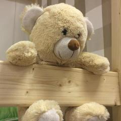 Хостел Плюшевый Мишка, Новосибирск, Новосибирская область