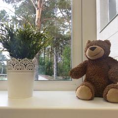 Хостел Плюшевый Мишка, Новосибирск, Новосибирская область