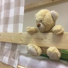 Хостел Плюшевый Мишка, Новосибирск, Новосибирская область