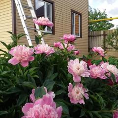 Гостевой дом В гостях у Бабы Поли, Новый Рогачик, Волгоградская область