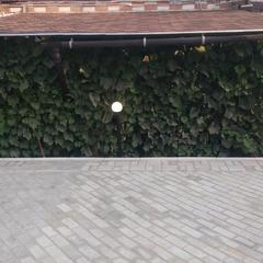 Гостевой дом В гостях у Бабы Поли, Новый Рогачик, Волгоградская область