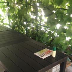 Гостевой дом В гостях у Бабы Поли, Новый Рогачик, Волгоградская область