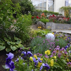 Дом отдыха Полет, Новый Свет, Крым