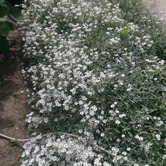 Гостевой дом В гостях у Бабы Поли, Новый Рогачик, Волгоградская область