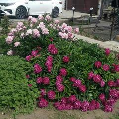 Гостевой дом В гостях у Бабы Поли, Новый Рогачик, Волгоградская область