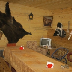 Гостиничный комплекс Зеленый шум, Ногинск, Московская область