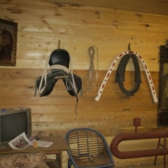 Гостиничный комплекс Зеленый шум, Ногинск, Московская область