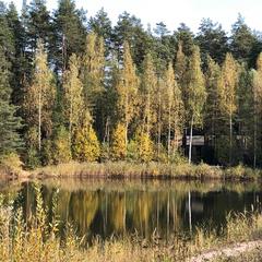 Отель Яхонты Ногинск, Ногинск, Московская область