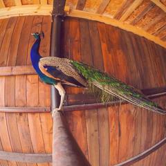 Отель Яхонты Ногинск, Ногинск, Московская область