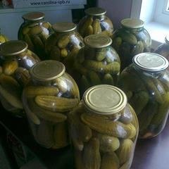 Гостевой дом На Вокзальной, Няндома, Архангельская область