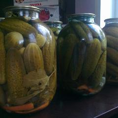 Гостевой дом На Вокзальной, Няндома, Архангельская область