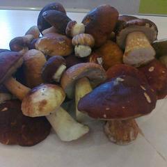 Гостевой дом На Вокзальной, Няндома, Архангельская область