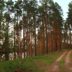 Гостевой дом На Вокзальной, Няндома, Архангельская область